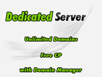 Discounted dedicated servers services